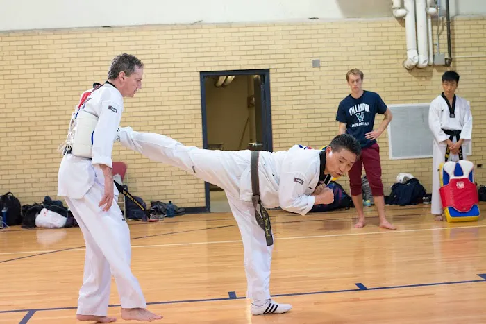 Martial Arts Institute-America Picture 9