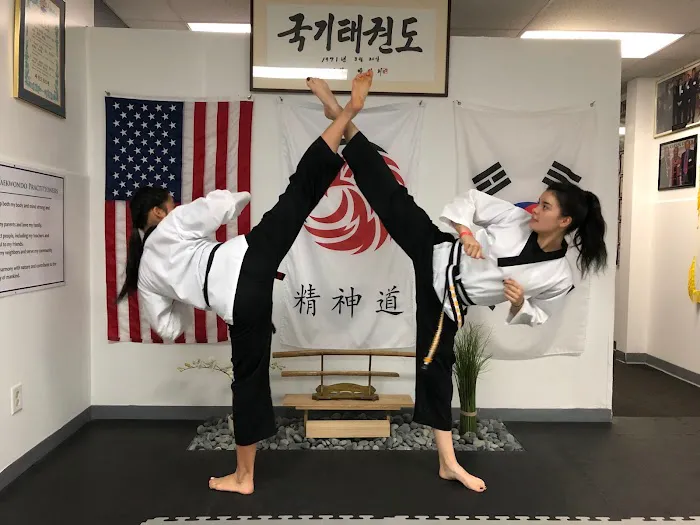 Ascent Martial Arts Picture 3
