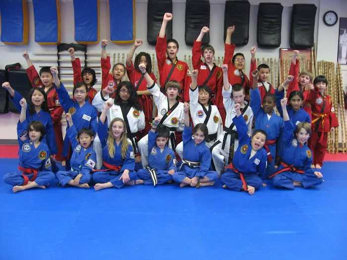 Ascent Martial Arts Picture 9
