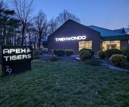Apex Tigers Martial Arts Taekwondo