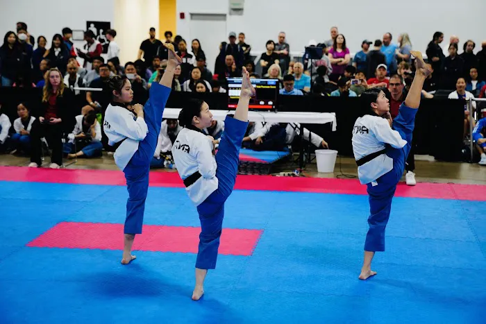 Apex Tigers Martial Arts Taekwondo Picture 3