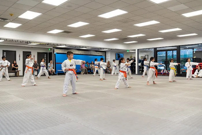 Apex Tigers Martial Arts Taekwondo Picture 5