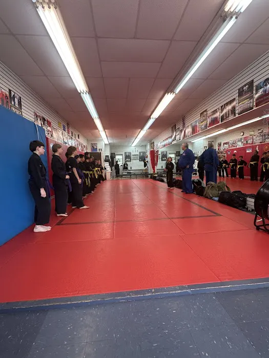 NYC Mixed Martial Arts Picture 2