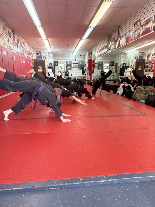 NYC Mixed Martial Arts Picture 1