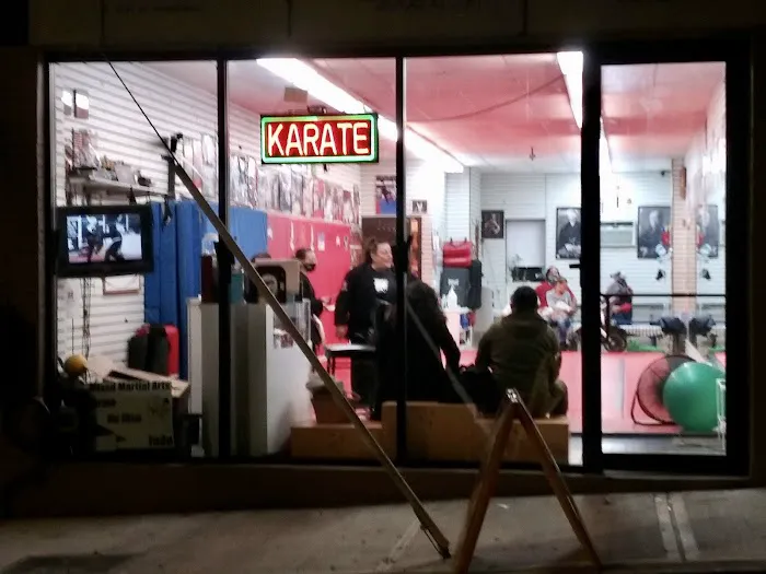 NYC Mixed Martial Arts Picture 6