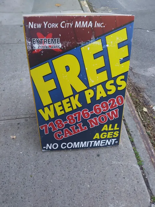 NYC Mixed Martial Arts Picture 5