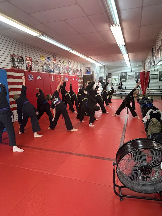 NYC Mixed Martial Arts Picture 4