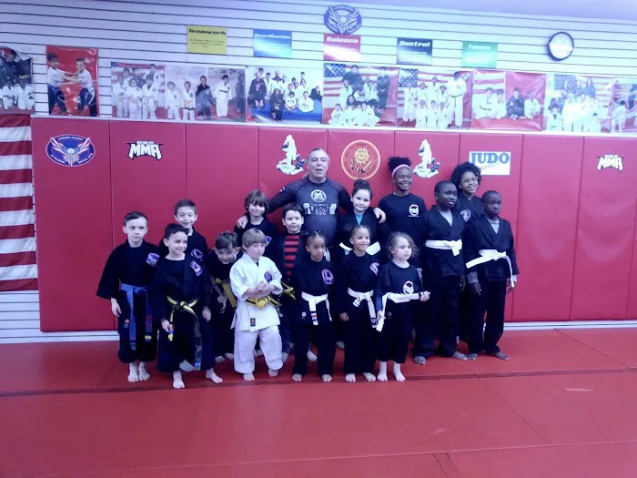 NYC Mixed Martial Arts Picture 7