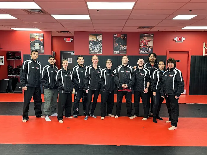 Satori Academy of Martial Arts Picture 1
