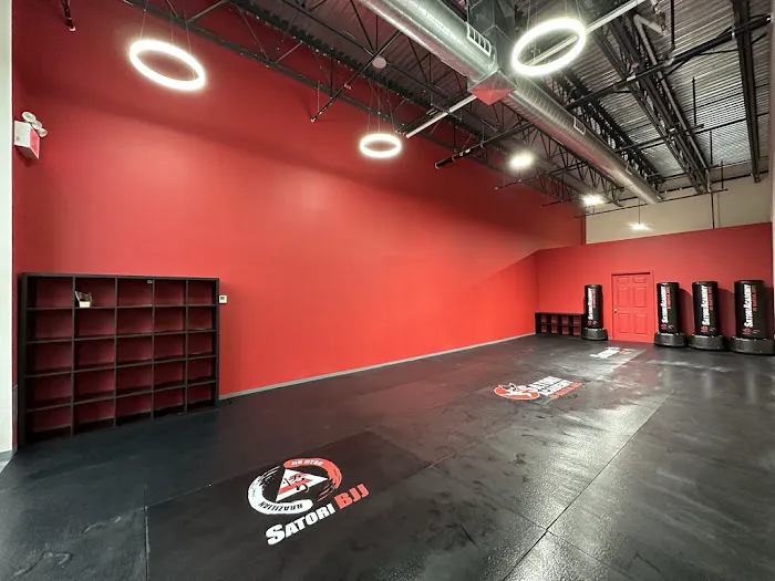 Satori Academy of Martial Arts Picture 2