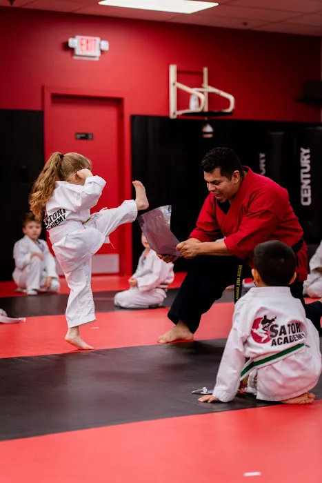 Satori Academy of Martial Arts Picture 3