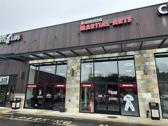 Satori Academy of Martial Arts Picture 6