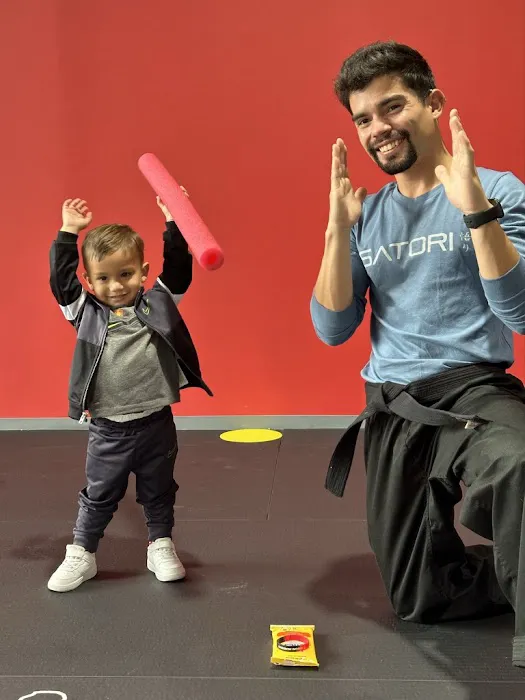 Satori Academy of Martial Arts Picture 7