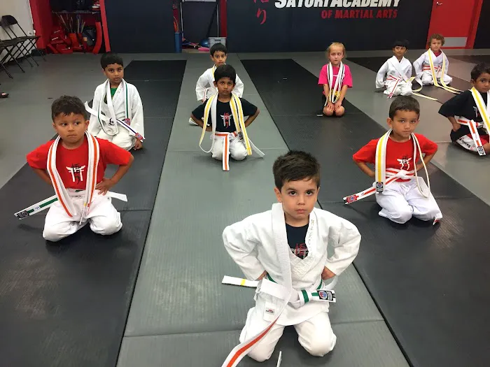 Satori Academy of Martial Arts Picture 10