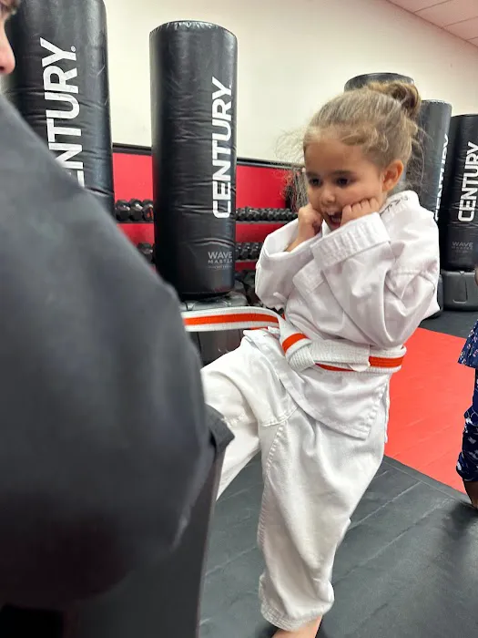 Satori Academy of Martial Arts Picture 9