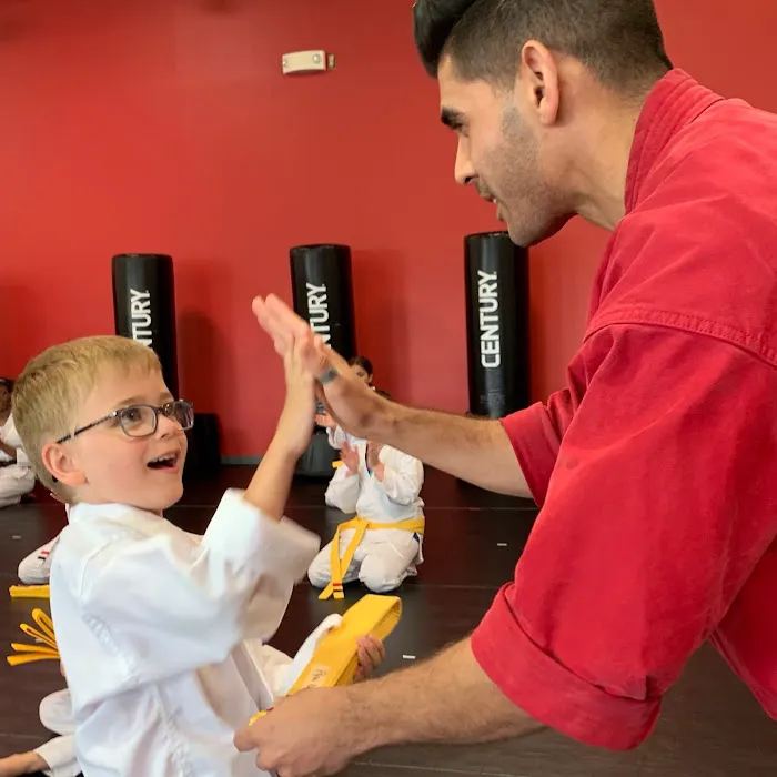 Satori Academy of Martial Arts Picture 8