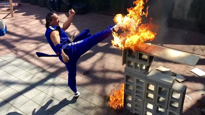 KARATE USA STRONG Picture 4