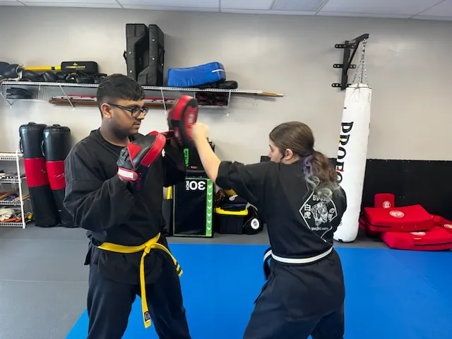 THE BMA DOJO Picture 6