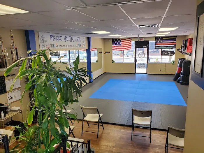 THE BMA DOJO Picture 10
