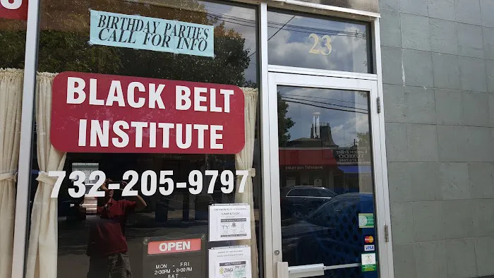 Black Belt Institute Picture 1