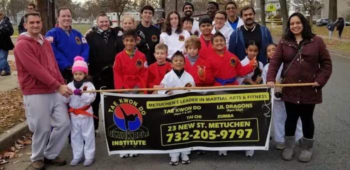 Black Belt Institute Picture 3
