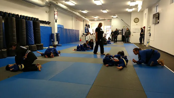 No Limit Martial Arts Picture 1