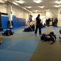 No Limit Martial Arts ico