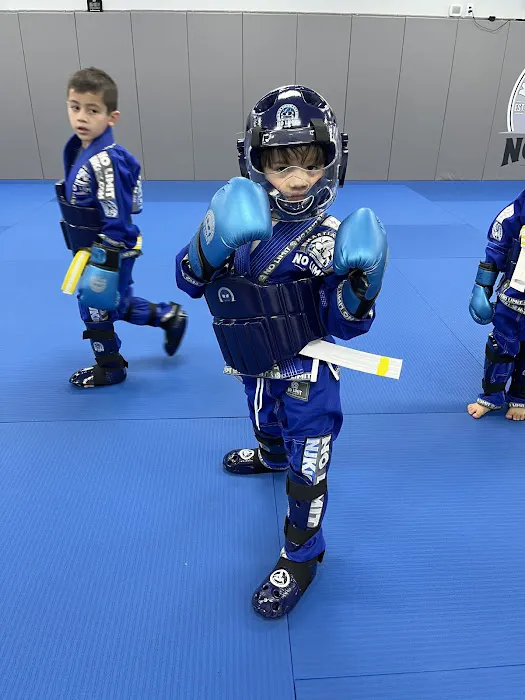 No Limit Martial Arts Picture 4