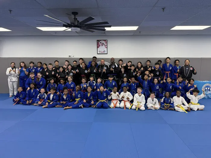 No Limit Martial Arts Picture 3