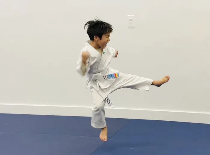 Excel Martial Arts Academy Picture 4