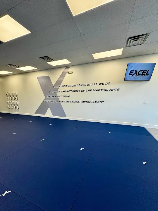 Excel Martial Arts Academy Picture 7
