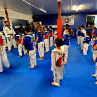 Team Raposa East Hanover Martial Arts / Black-K ico
