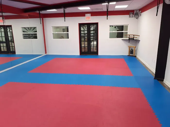 Team Raposa East Hanover Martial Arts / Black-K Picture 4