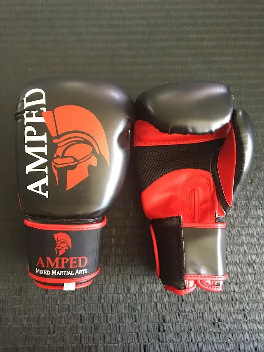 AMPED MIXED MARTIAL ARTS & FITNESS Picture 1