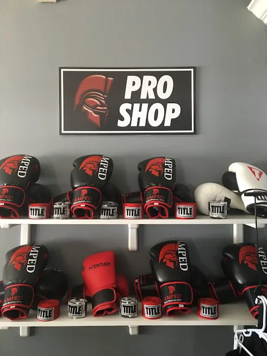 AMPED MIXED MARTIAL ARTS & FITNESS Picture 2