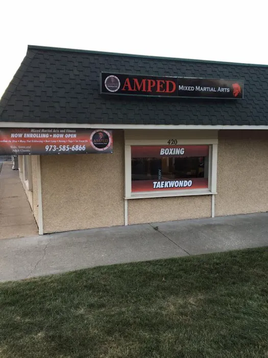 AMPED MIXED MARTIAL ARTS & FITNESS Picture 8