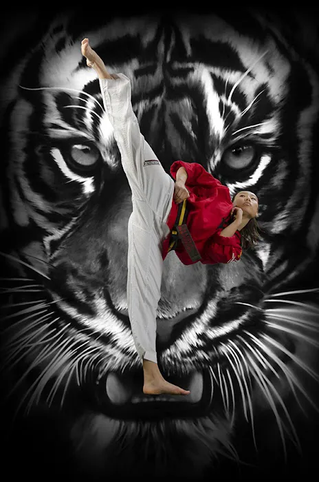 Talium Taekwondo school Picture 3