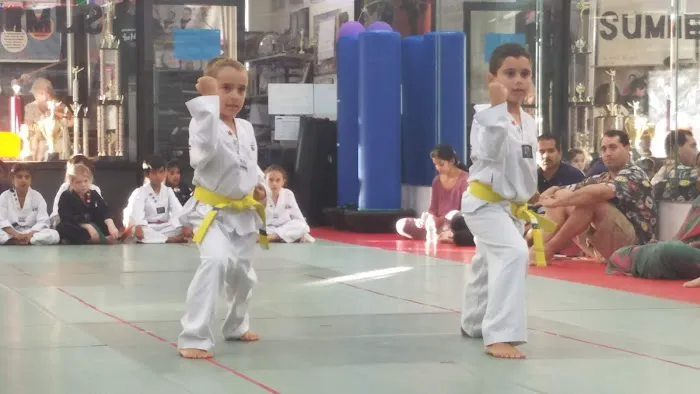Talium Taekwondo school Picture 4