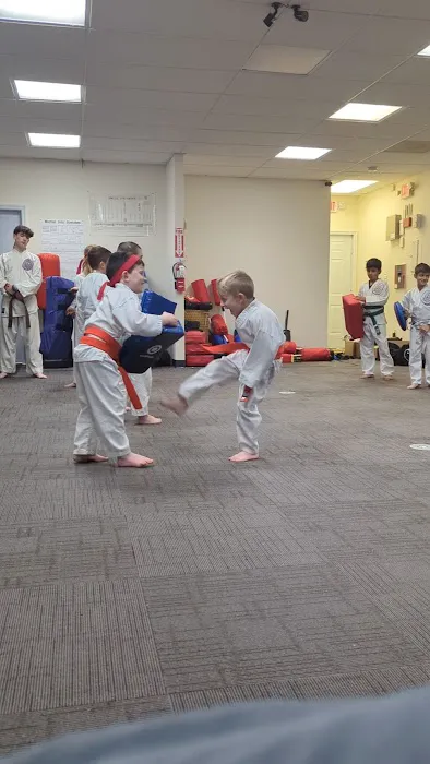 Family Martial Arts Center of SPF Picture 1