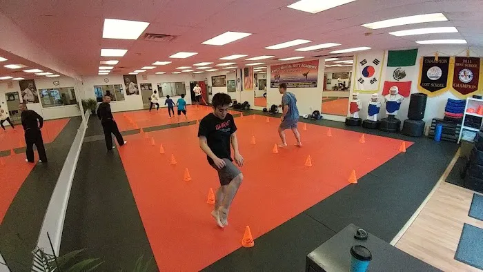 Nava's Martial Arts Academy Picture 8