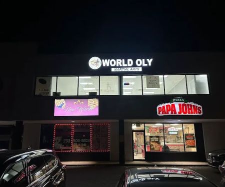 World olympic Martial arts lincoln hwy