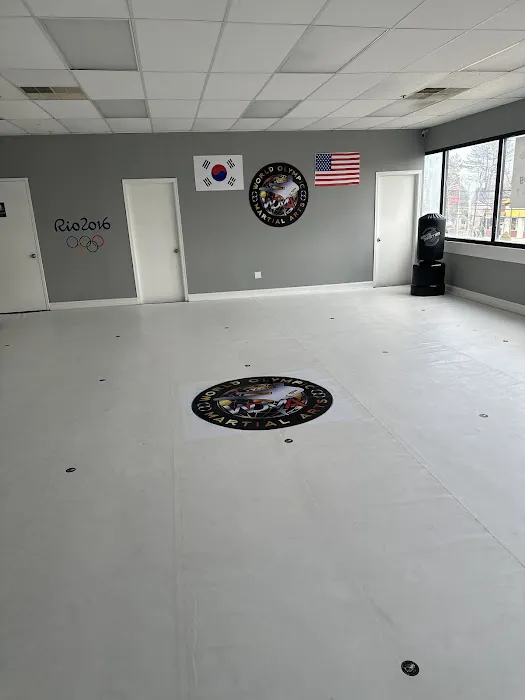 World olympic Martial arts lincoln hwy Picture 3