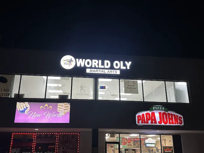 World olympic Martial arts lincoln hwy Picture 2