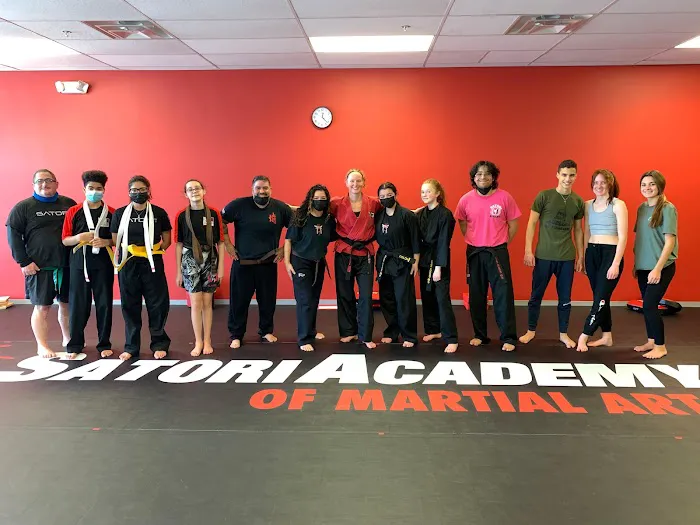 Satori Academy of Martial Arts Picture 2