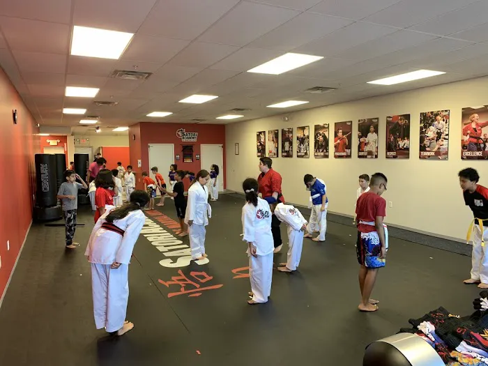 Satori Academy of Martial Arts Picture 3