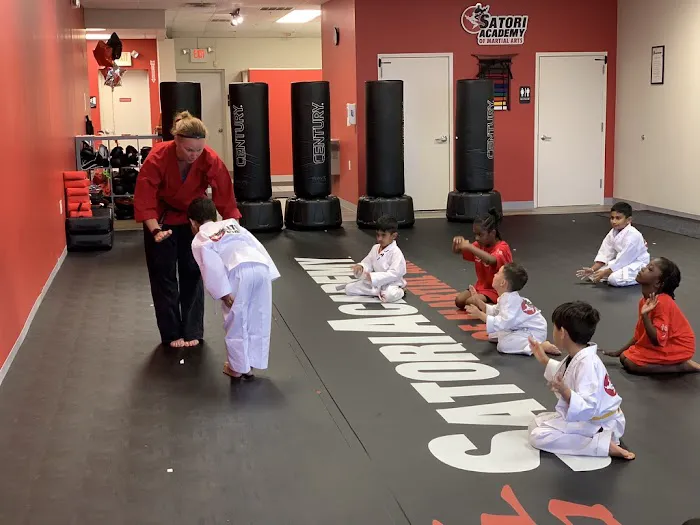 Satori Academy of Martial Arts Picture 6