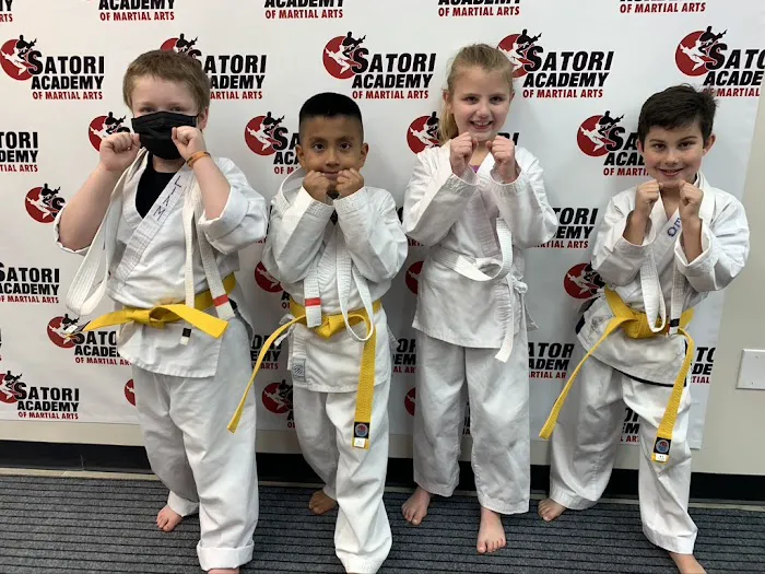 Satori Academy of Martial Arts Picture 4