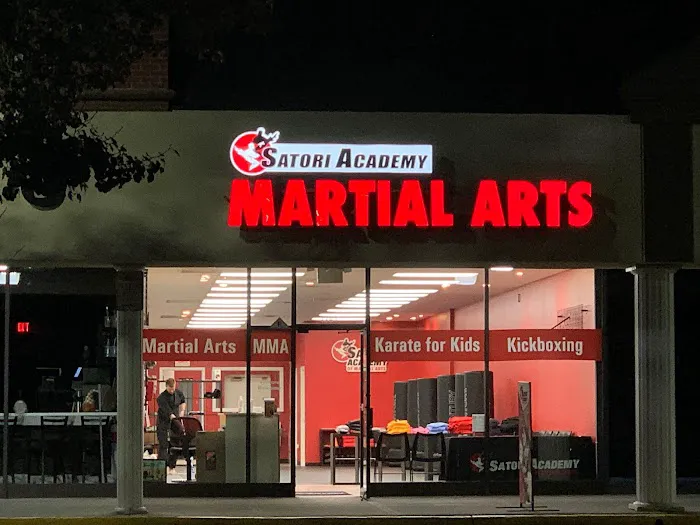 Satori Academy of Martial Arts Picture 10