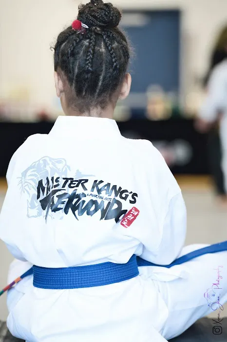 Master Kang's Taekwondo and Martial Arts Picture 5