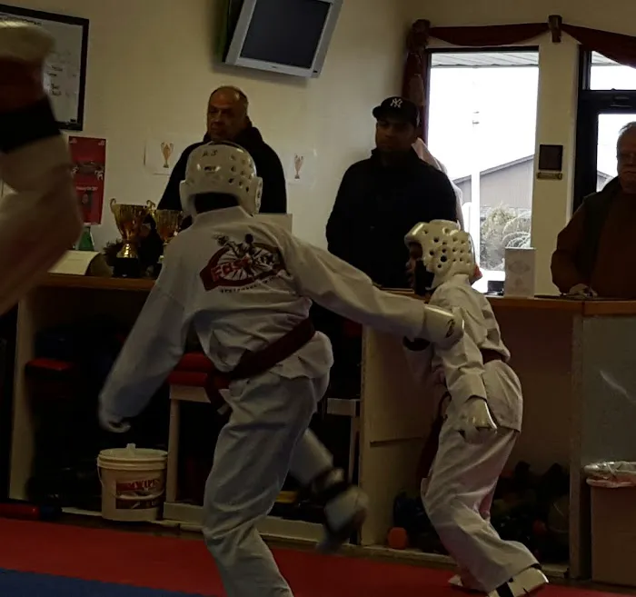 Fastkix Taekwondo & Kickboxing Picture 2